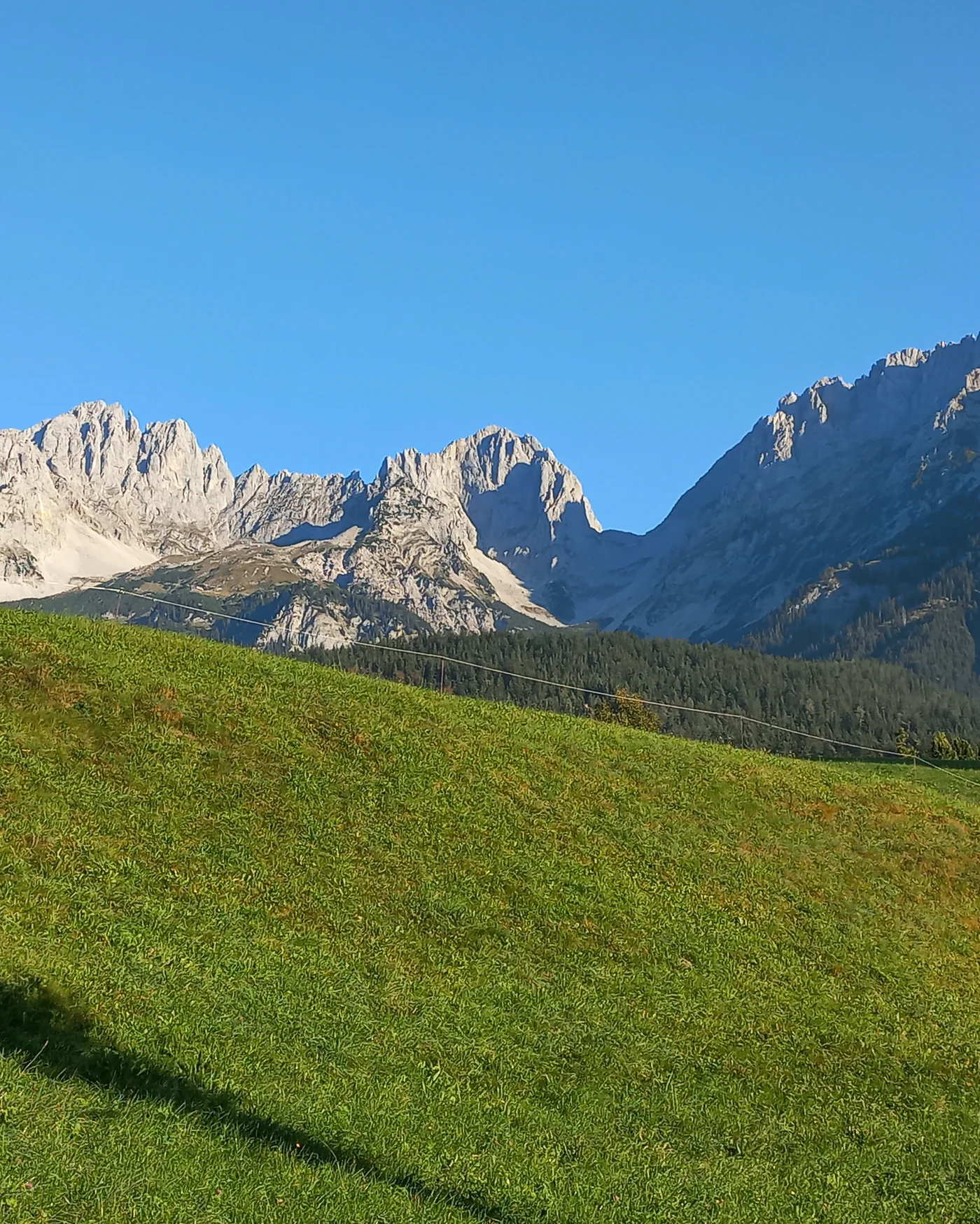 Wilder Kaiser über einer Bergwiese